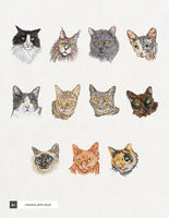 Cat Portraits