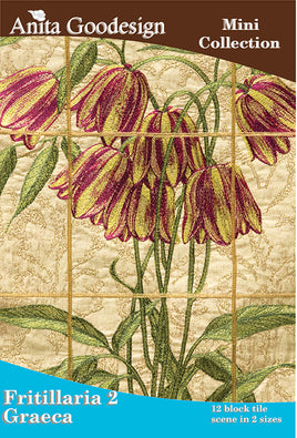 Fritillaria – Graeca